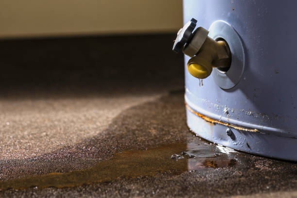 Best Flood damage cleanup  in Norcross, GA