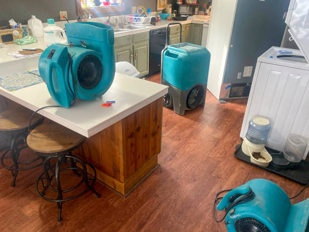 Best Local water damage restoration  in Norcross, GA