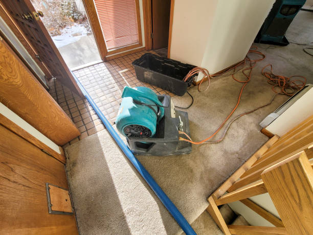 Best Flooded house restoration  in Norcross, GA