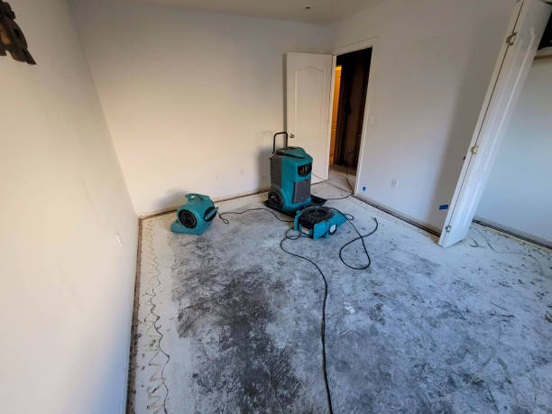 Best Water damage restoration company  in Norcross, GA