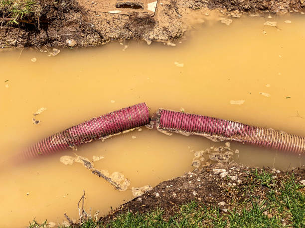 Best Emergency water extraction  in Norcross, GA