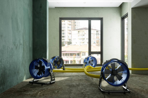 Best Carpet water damage restoration  in Norcross, GA