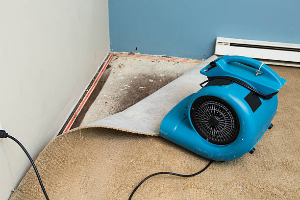 Best Mold removal after water damage  in Norcross, GA